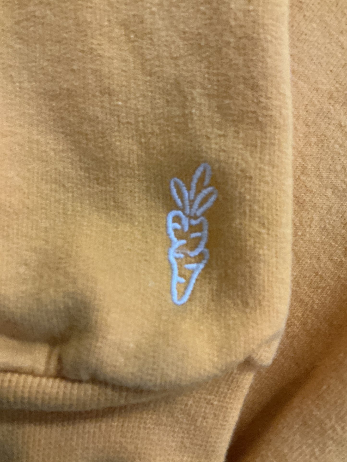Anwar Carrots x Champion Hoodie ‘Gold’ (Pre-Owned)