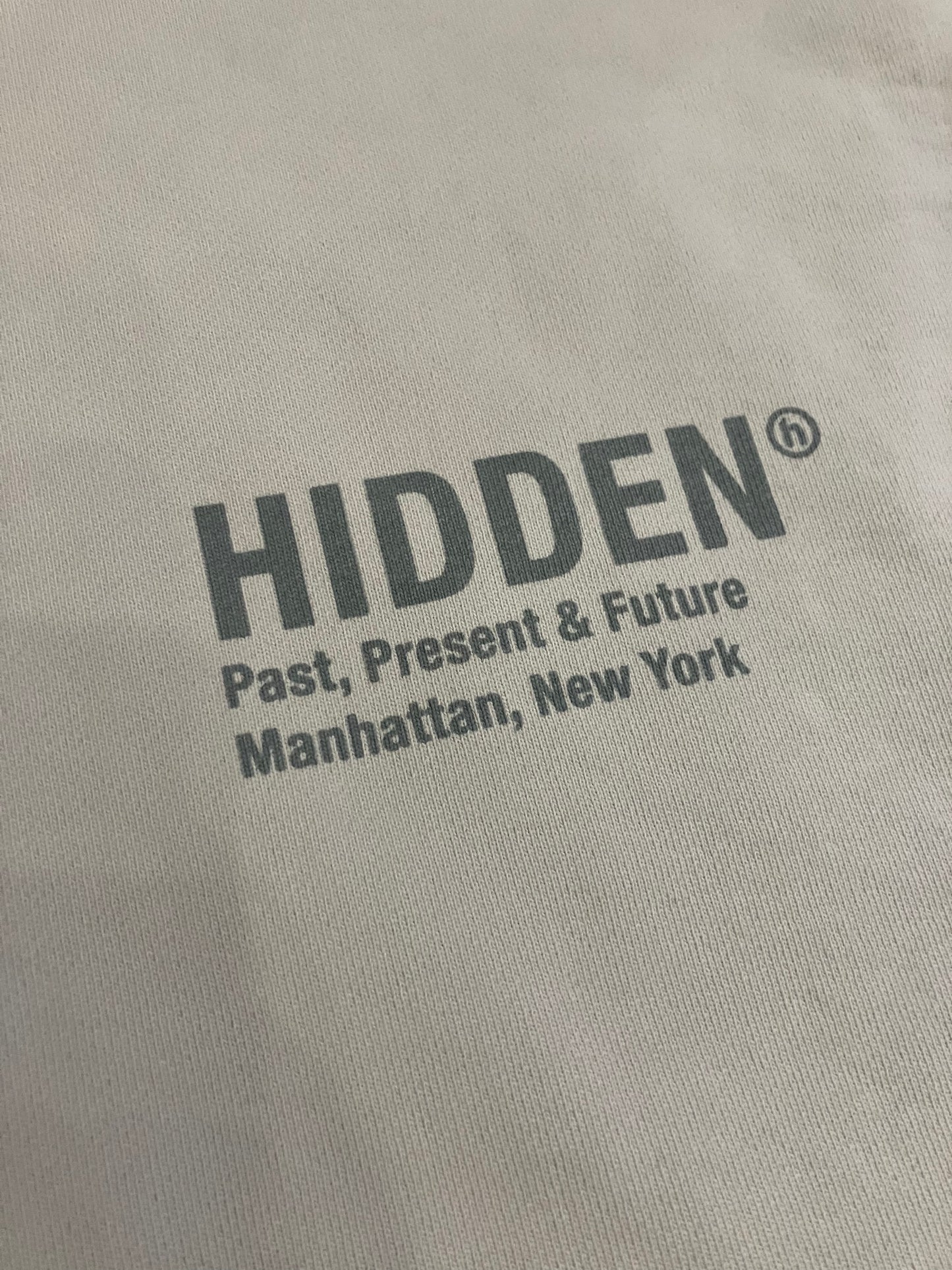 Hidden NY H Logo Evergreen Hoodie (Pre-Owned)
