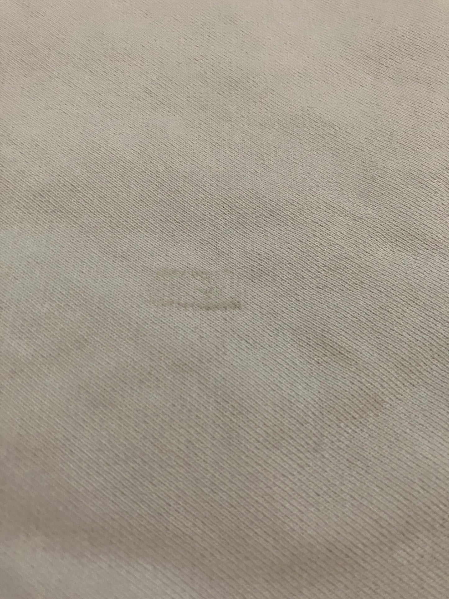 Hidden NY H Logo Evergreen Hoodie (Pre-Owned)